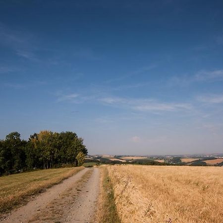 Landgasthof Dittersdorfer Hoehe Amtsberg Esterno foto
