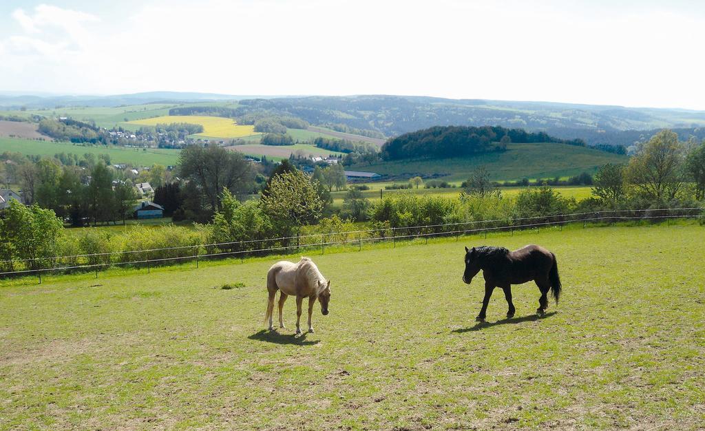 Landgasthof Dittersdorfer Hoehe Amtsberg Esterno foto