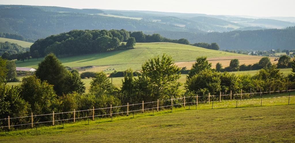 Landgasthof Dittersdorfer Hoehe Amtsberg Esterno foto