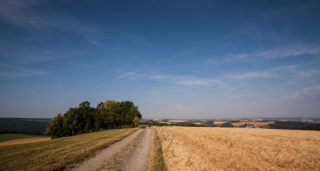 Landgasthof Dittersdorfer Hoehe Amtsberg Esterno foto